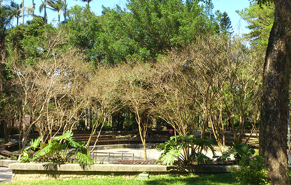中正公園
